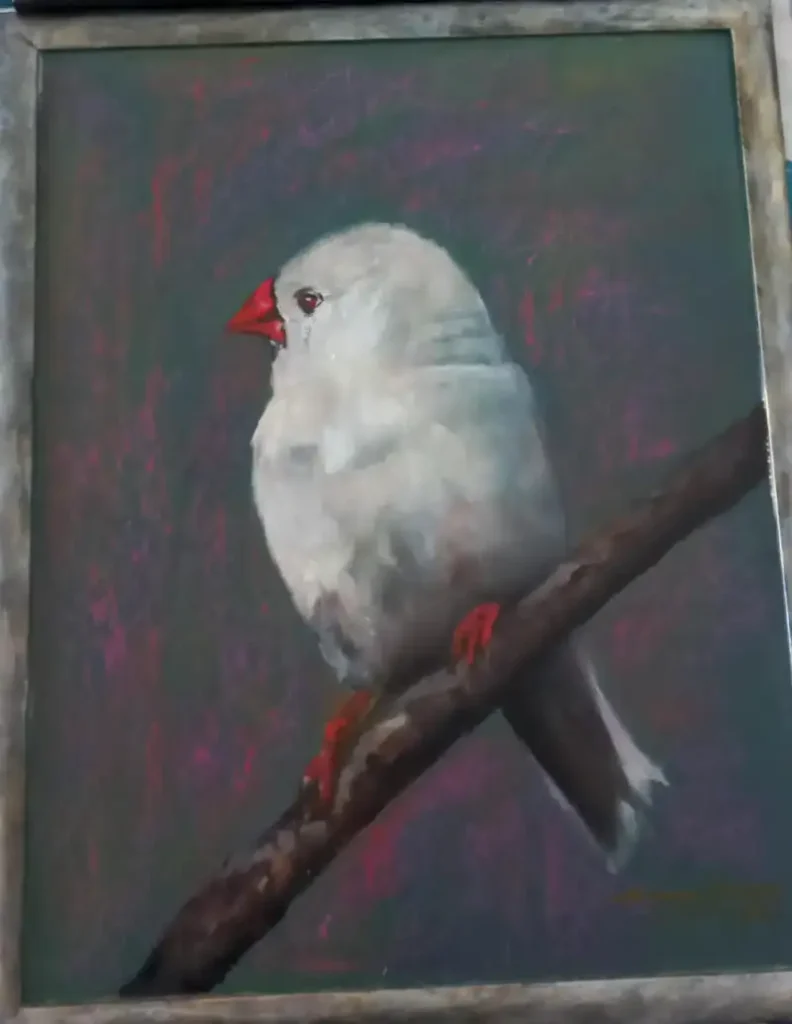 Serie: Pájaros del Uruguay 03