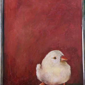 Serie: Pájaros del Uruguay 04