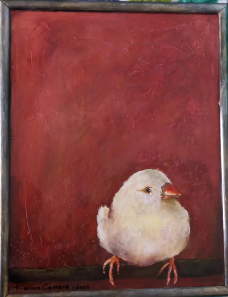 Serie: Pájaros del Uruguay 04
