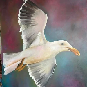 Serie: Pájaros del Uruguay 09
